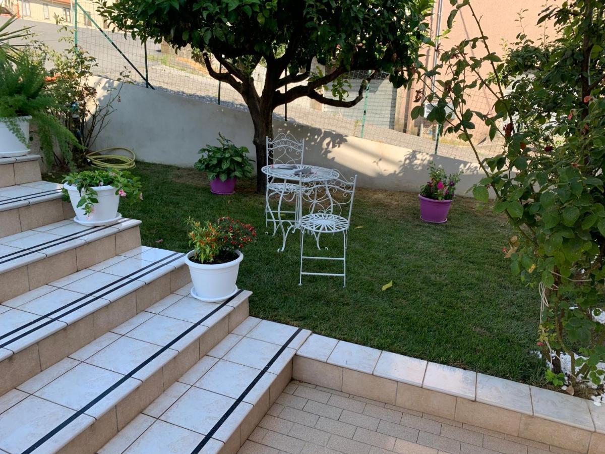 B&B Villa Pignataro Verbicaro Dış mekan fotoğraf